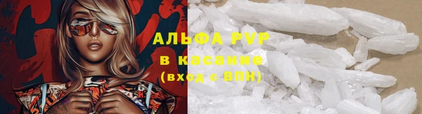 твердый Арсеньев