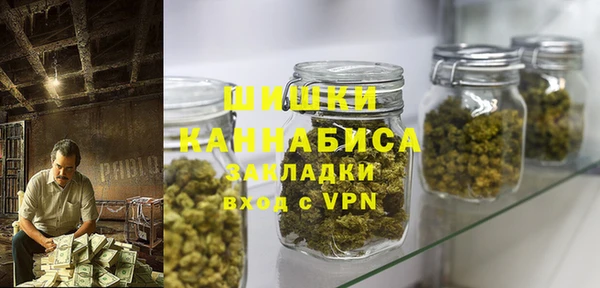 твердый Арсеньев