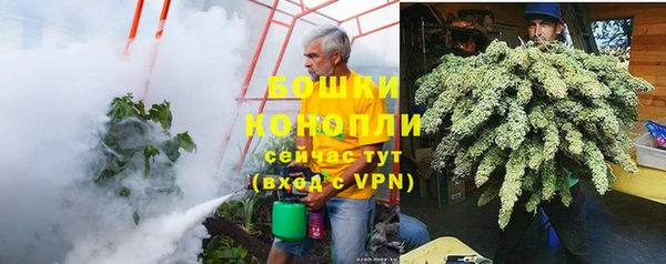 ПСИЛОЦИБИНОВЫЕ ГРИБЫ Армянск