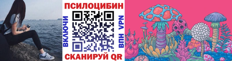 Псилоцибиновые грибы GOLDEN TEACHER  купить наркотики цена  нарко площадка Telegram  Удачный 